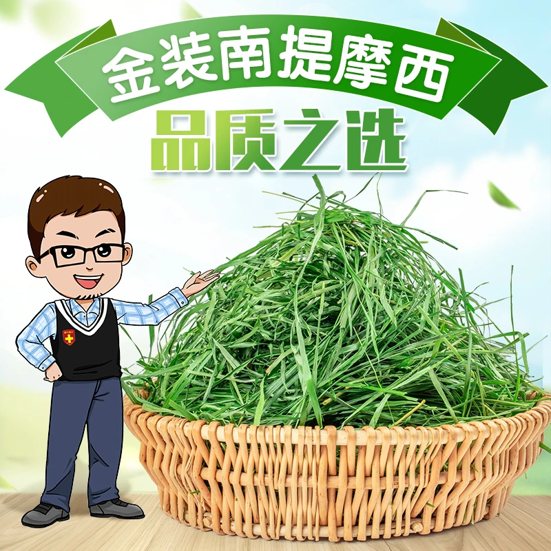 【初三】2025年新南提摩西兔子龙猫荷兰猪挑食爱吃的全叶无杆