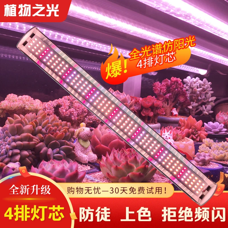 多肉补光灯上色防徒控型植物补光灯全光谱仿太阳4排植物生长灯