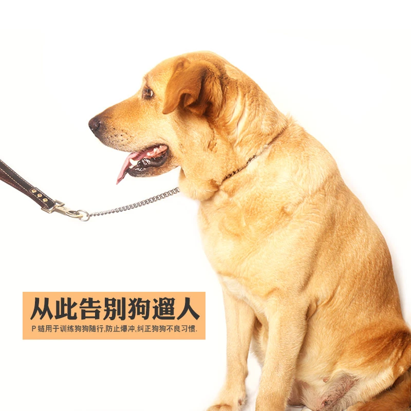不锈钢P链防爆冲训犬专业P字链中大型犬狗批链子p绳狗狗牵引绳