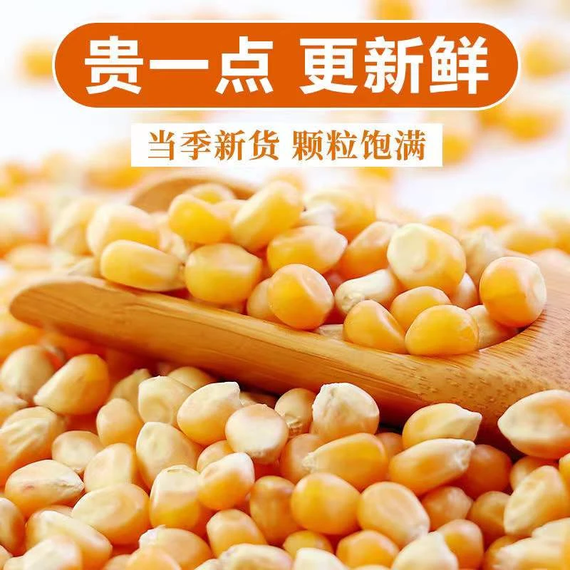 爆米花玉米当季新玉米