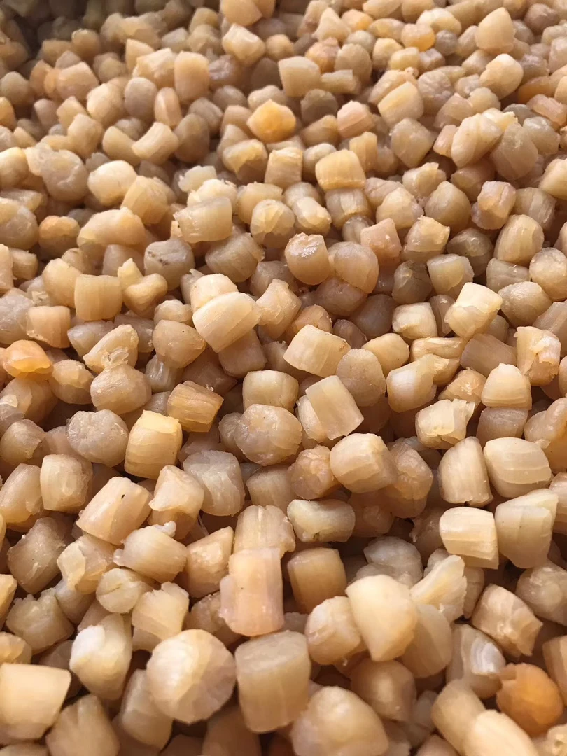 汕头 南澳中干贝250g