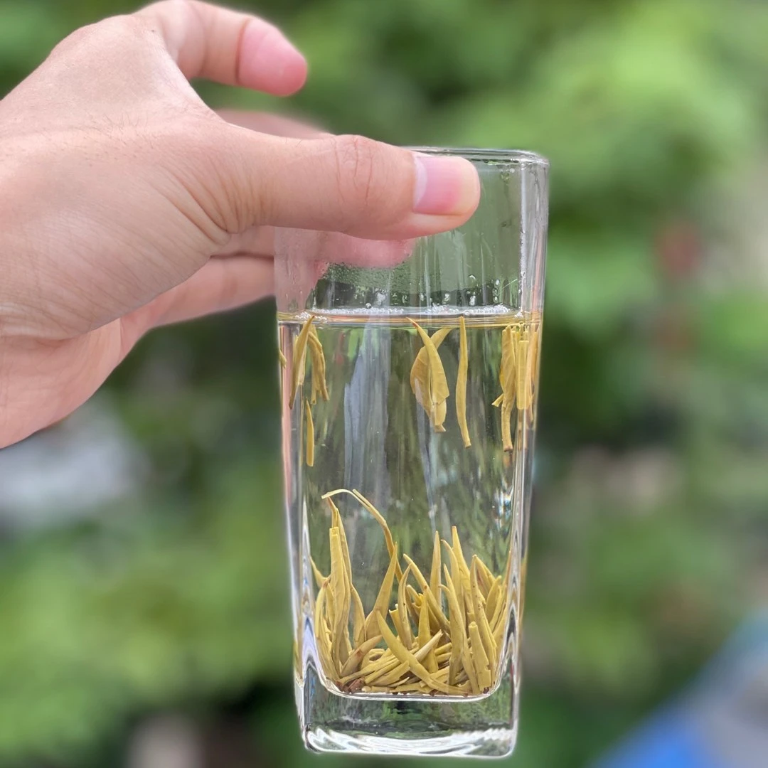 特级浓香茉莉花茶湄潭翠芽产地直销