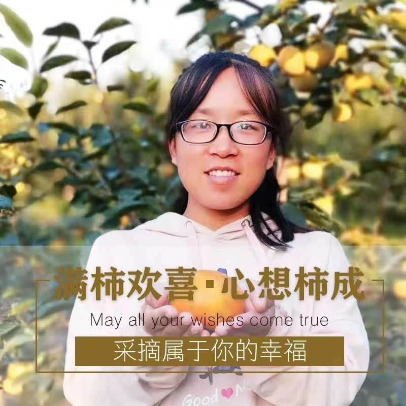 【顺丰包邮，自然成熟】山西脆甜柿子5斤9斤包邮脆甜爽口新鲜采摘