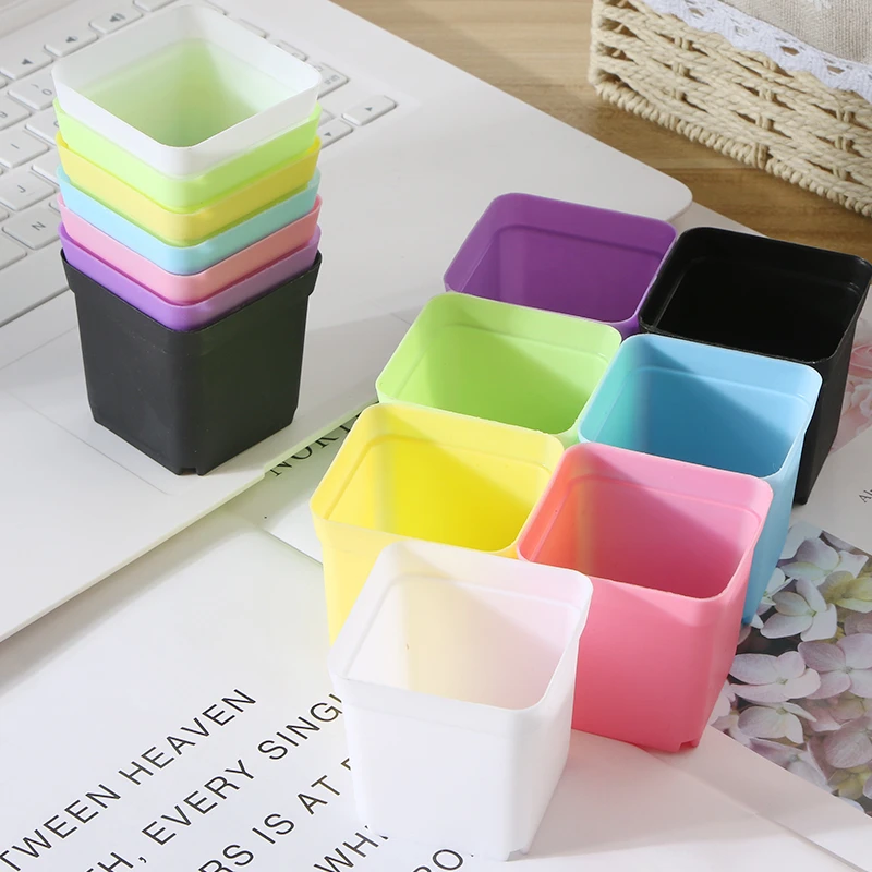 多肉小彩方塑料黑方植物彩色育苗盆5.5cm播种扦插小方盆黑方特价