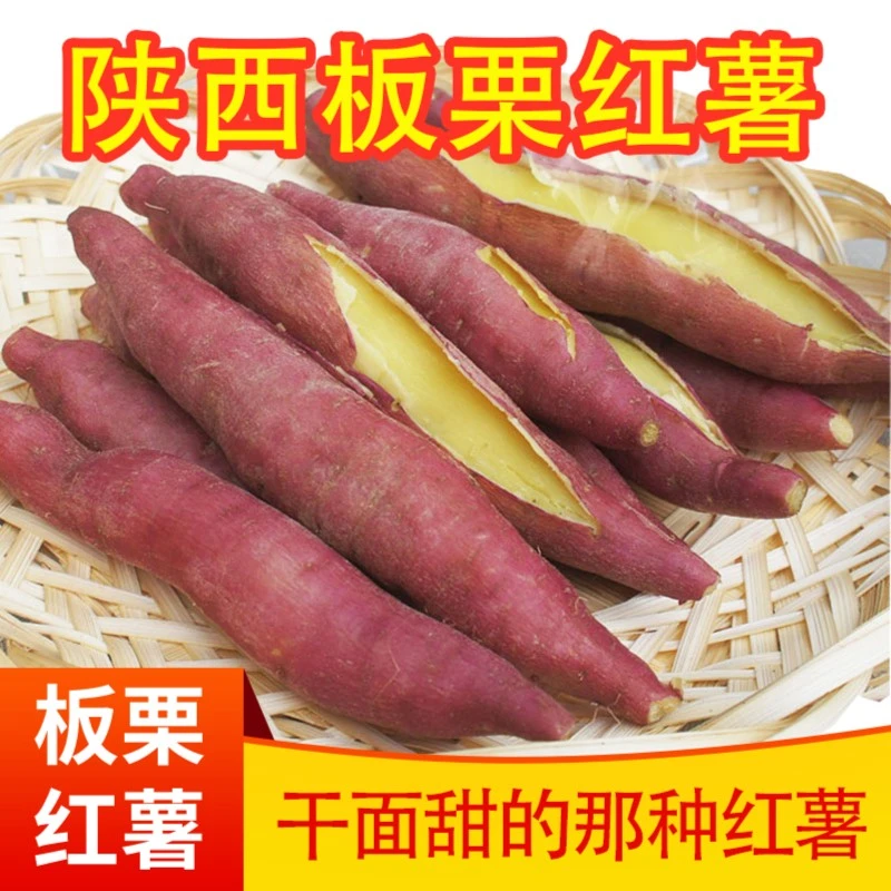 陕西板栗红薯现挖现发新鲜地瓜干面香甜农家沙地稥署