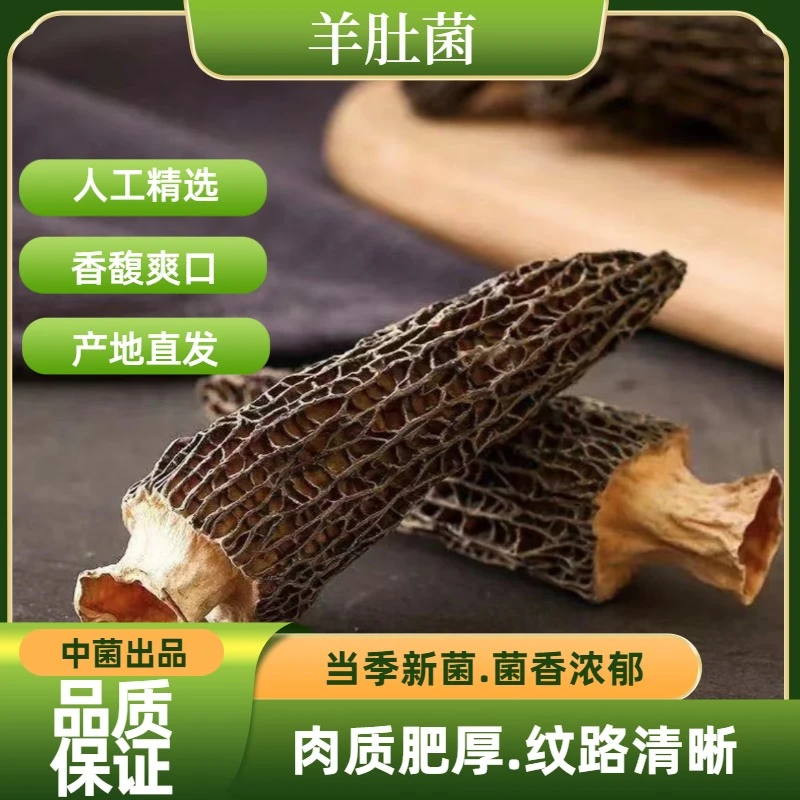 庭燕庄云南特产羊肚菌头茬食用珍菌肉质脆嫩营养新鲜包邮50g*2包