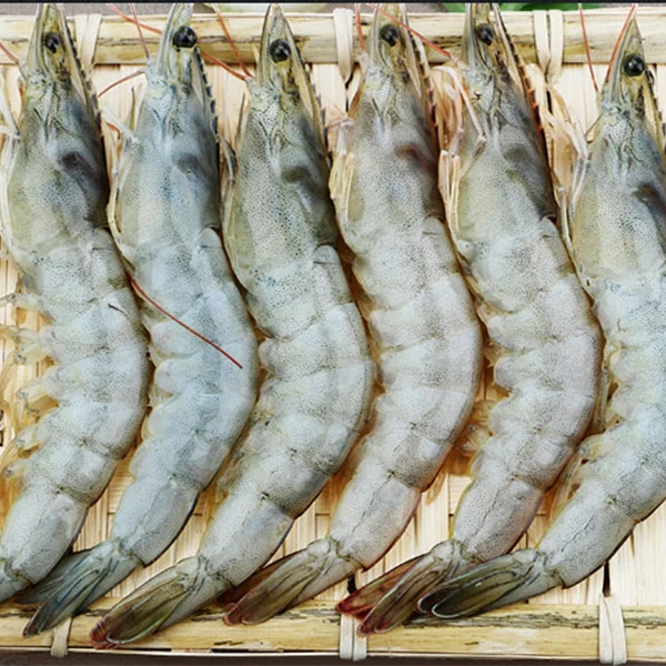 厄瓜多尔盐冻南美白对虾 净重1.65kg/盒 规格40/50 盐冻工艺锁鲜