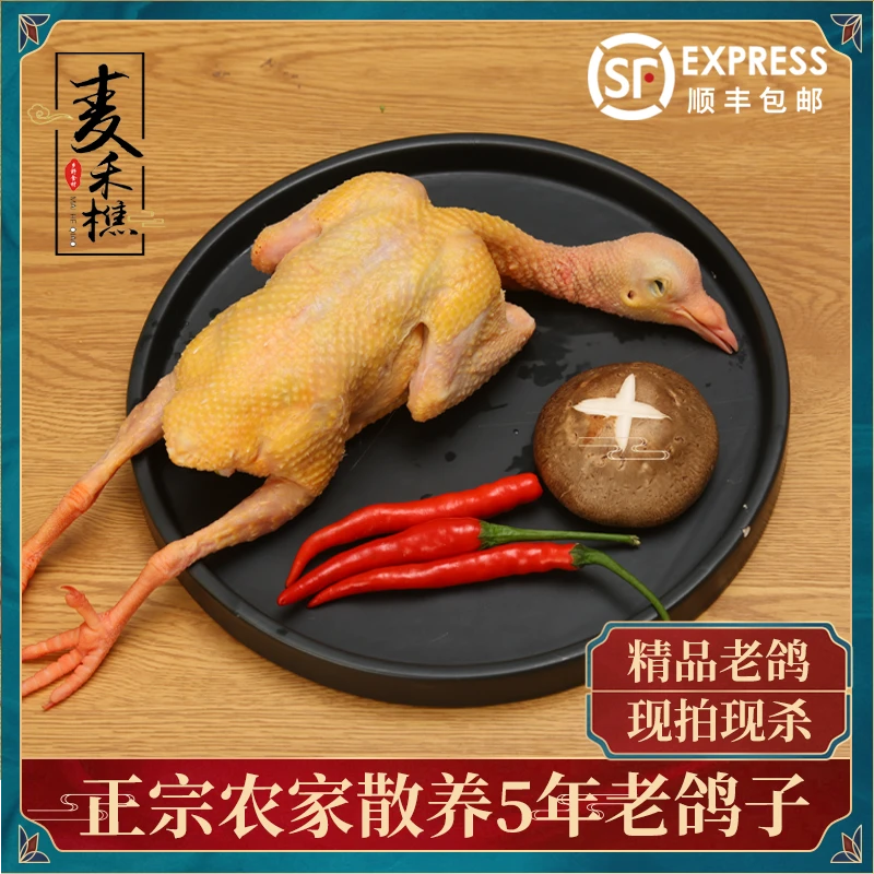 沂蒙山农家散养5年老鸽子杂粮土鸽子6-5