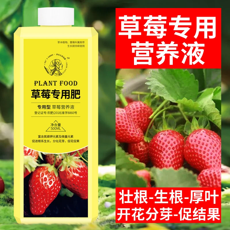 草莓肥料专用肥营养液盆栽有机肥水溶肥水培营养肥家用种草莓的肥