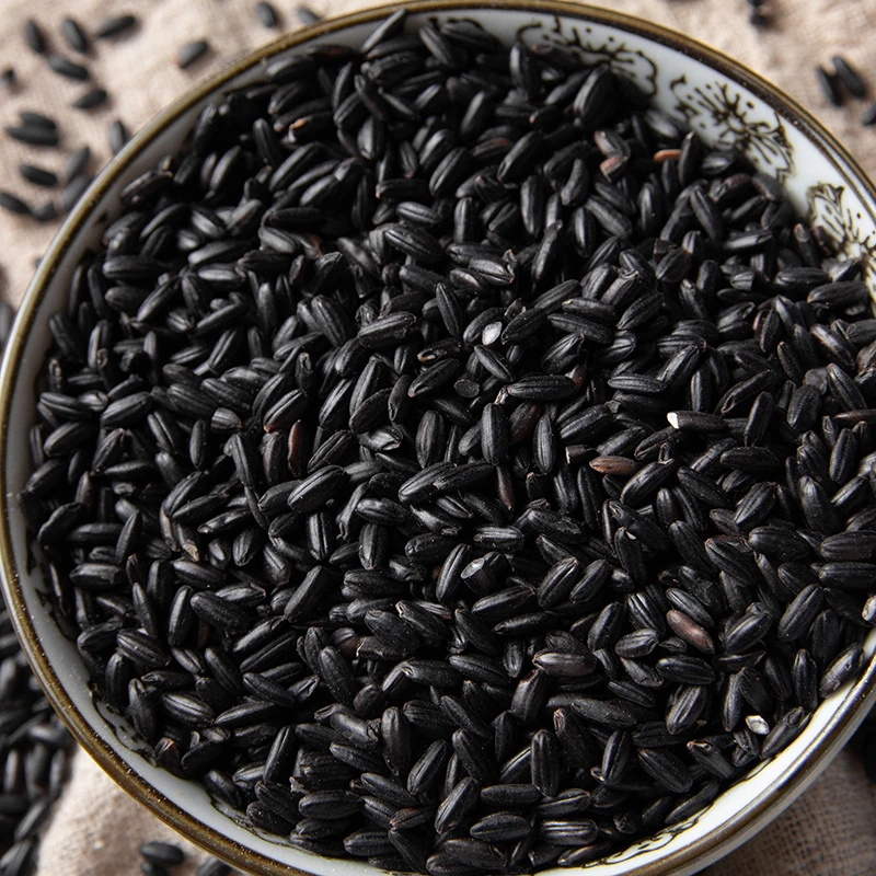 东北黑米1斤大米营养颗粒饱满黑龙江农家粗粮米饭黑米粥黑米饭香