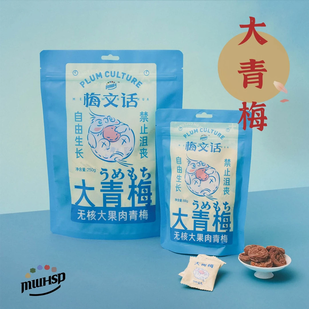 梅文话食品 日式无核大青梅话梅梅饼酸甜开胃小零食250g