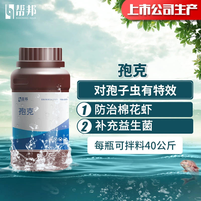 孢克，减少棉花虾 帮邦水产