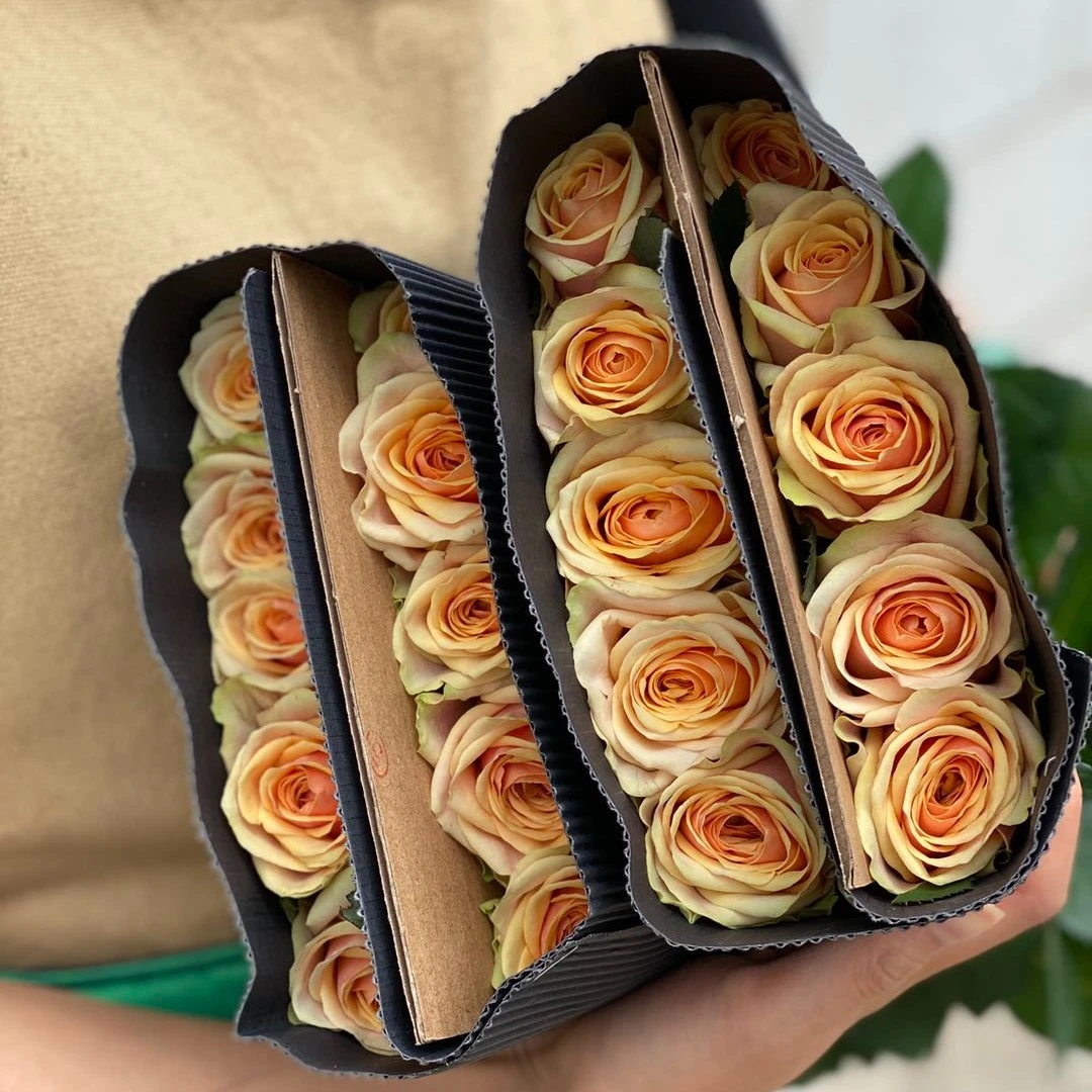 【小阿阮优选】A级鲜花 单头玫瑰#迪薇娜# 云南直发 顺丰包邮