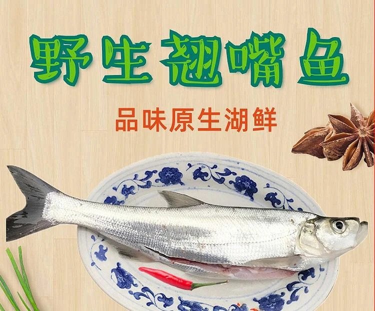 微山湖野生翘嘴撅嘴鲢子白条