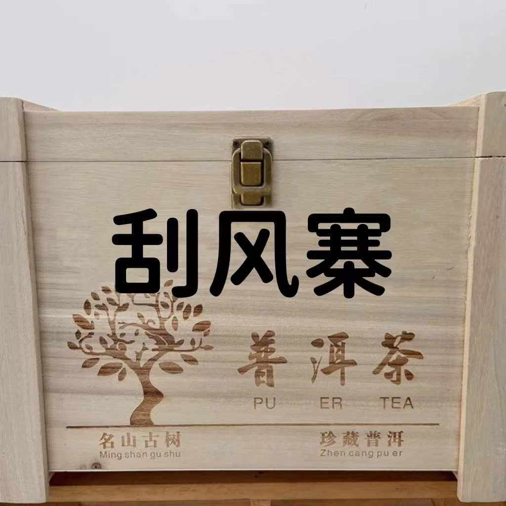 云南普洱茶生茶2025年刮风寨茶王地古树200克