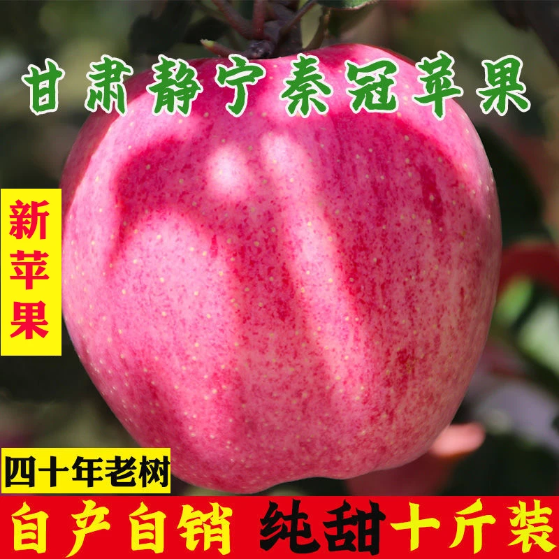 西飨小镇甘肃静宁苹果老品种秦冠苹果易粉可刮泥10斤整箱包邮