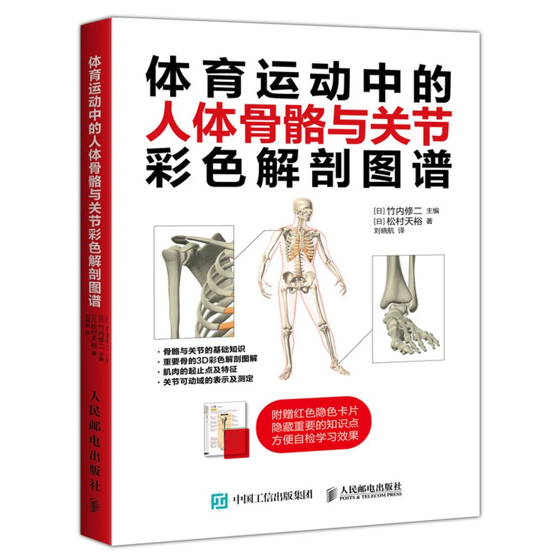 体育运动中的人体骨骼与关节彩色解剖图谱骨和重要关节解剖学名称