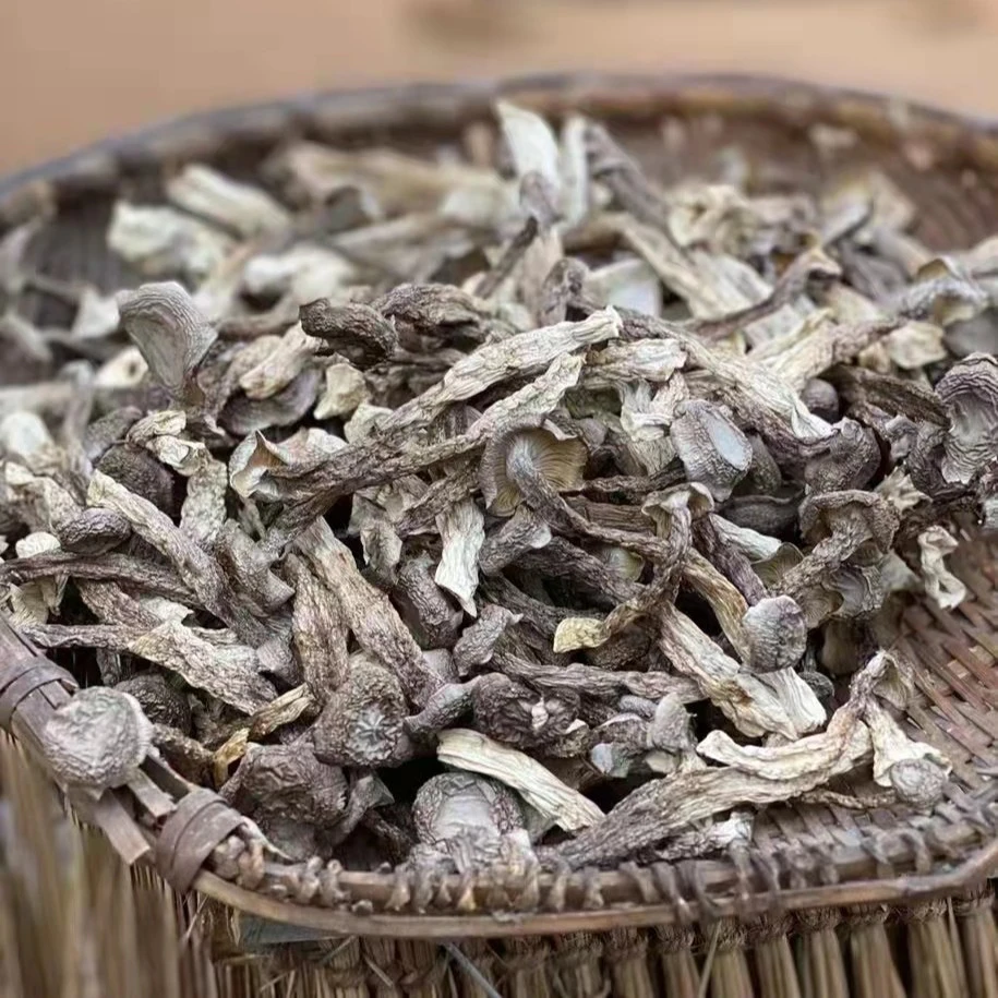 《潮星干货》鹿茸菇巴西菇500g一斤起售包邮