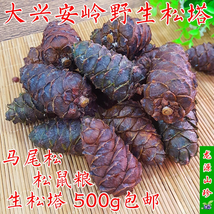 松鼠粮松塔大兴安岭野生原味马尾松塔特产 生松树塔坚果500g包邮