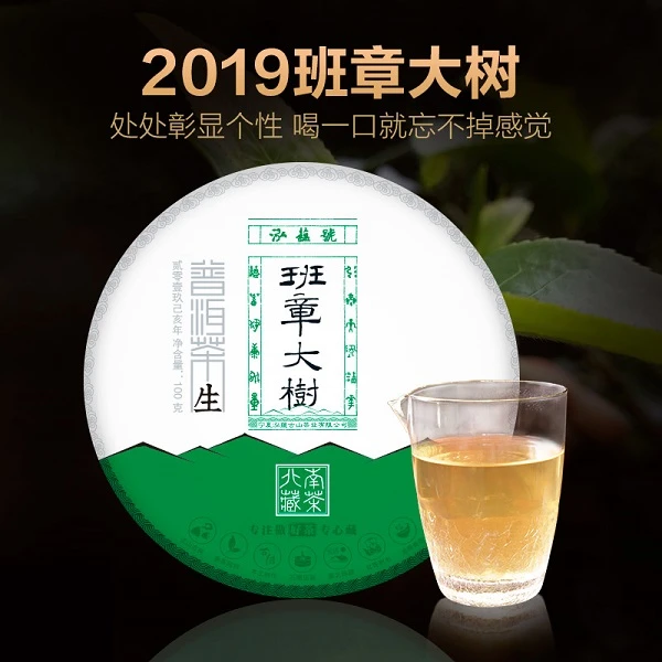 云南全春茶泓蕴号2019年班章大树普洱生茶100g100g