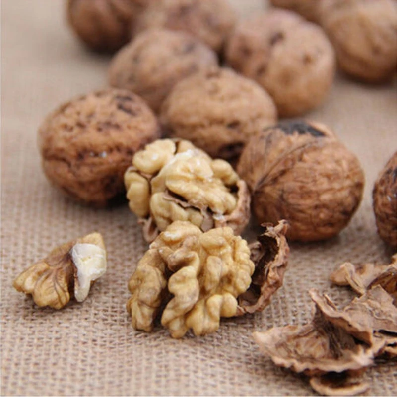 【木嘎推荐】老树高山干核桃农家自产产地直发送夹子西昌发货