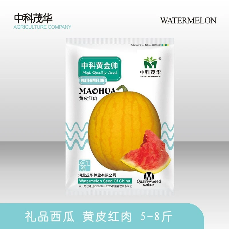 中科茂华种子金玲珑中科黄金帅西瓜盆栽种子红肉礼品西瓜盆栽种籽