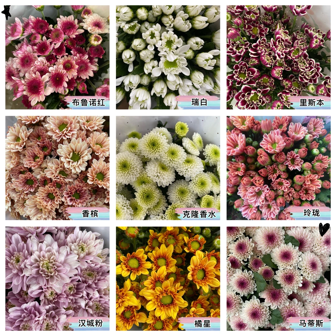 鲜花～小雏菊~（签收后超24小时不售后）
