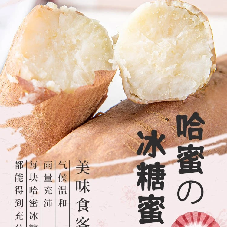 【蒸煮烤】头茬哈蜜冰糖蜜薯白心爆甜哈密地瓜饱满香甜薯香浓郁红薯