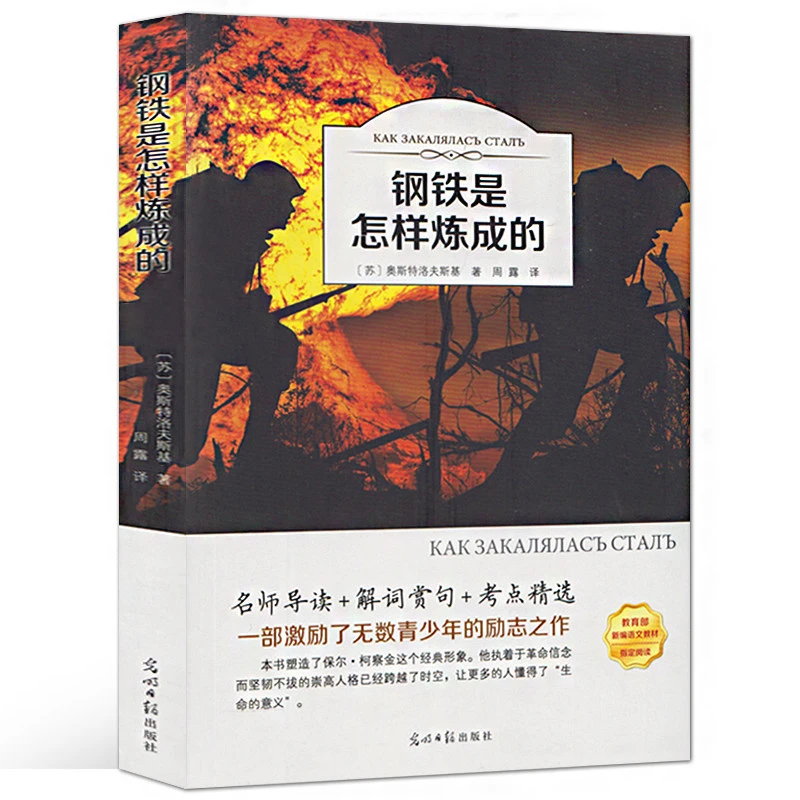 钢铁是怎样炼成的正版原著初中生 全本无删节 青少年初中生书籍课
