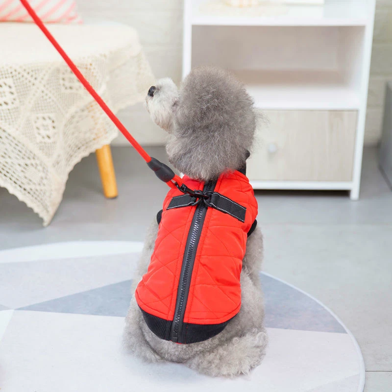 狗狗衣服冬季加绒拉扣棉马甲猫咪泰迪比熊小型犬宠物可爱保暖棉衣