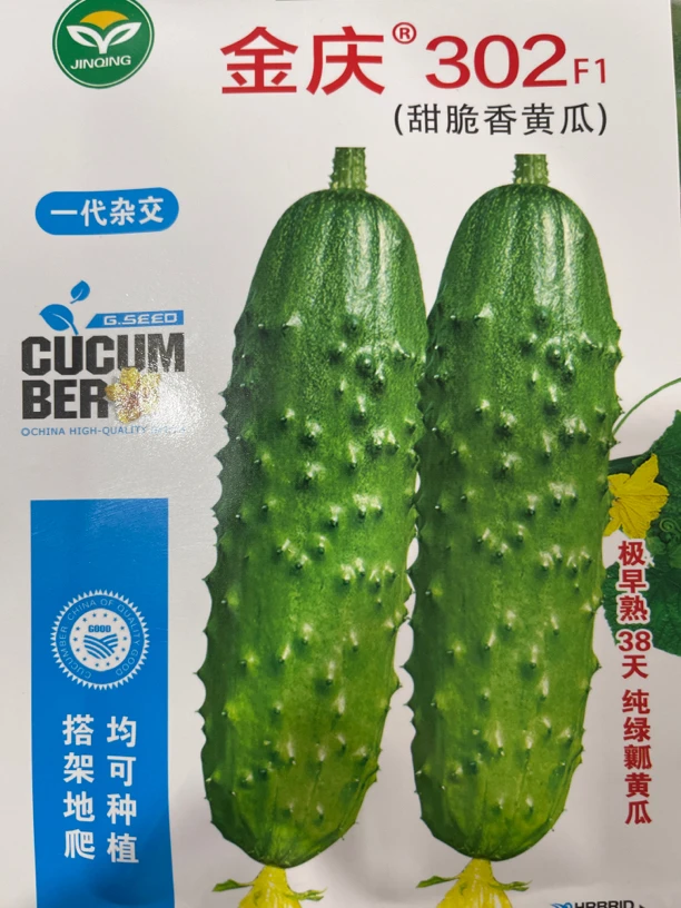 金庆302黄瓜种籽50粒