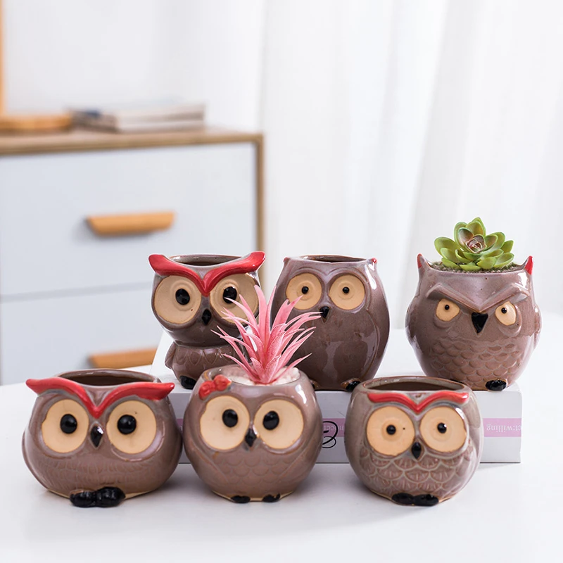 卡通猫头鹰多肉花盆陶瓷简约清仓套装组合可爱肉肉控型拇指盆