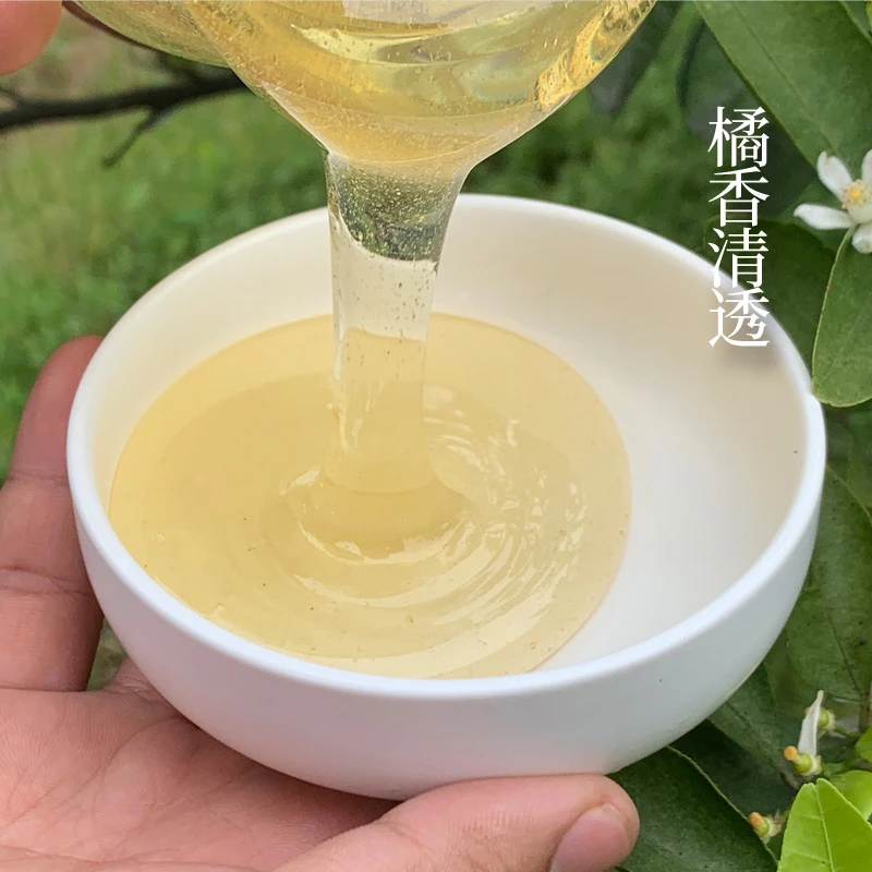 复人春柑橘蜜500g 橘花蜜 成熟蜜新鲜现取 农家自产纯正天然1斤装