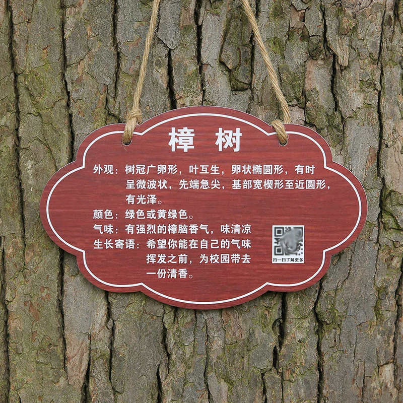 树牌挂牌学校公园认养牌插地牌子植物绿化信息牌铭牌树木介绍标识