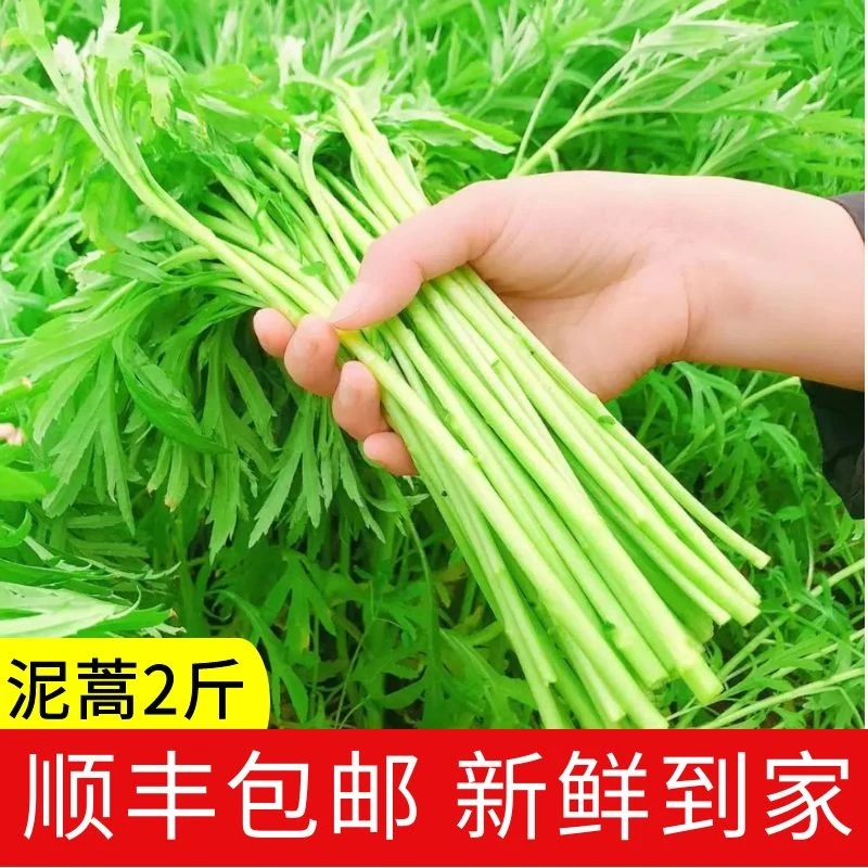 洪湖颜姐泥蒿卢蒿泥蒿2斤3斤顺丰包邮