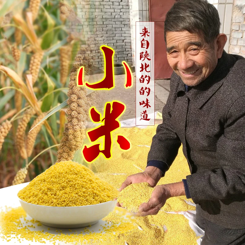 那年愿陕西榆林黄土地原生态时令小米真空装2500g包邮
