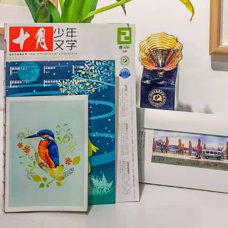 【晴子姐姐】十月少年文学【2022年】全年刊 特惠来袭！