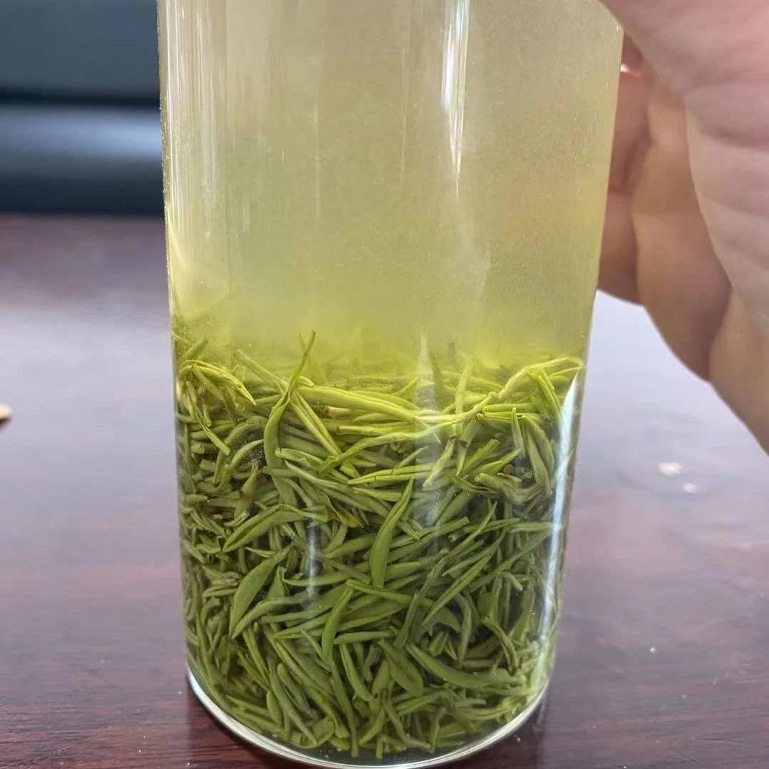 新茶信阳毛尖明前中小芽