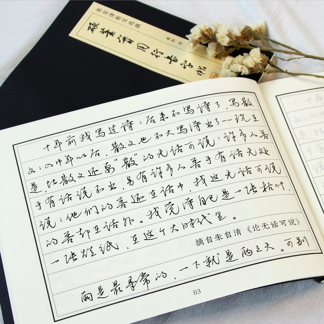 【一起练字】实用行书日常手写体摘抄节选描红临摹字帖硬笔书法