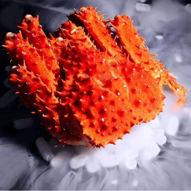 智利熟冻帝王蟹长腿蟹海蟹长刺蟹大蟹