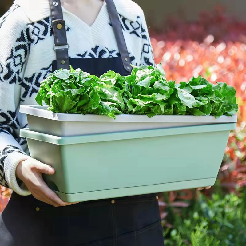 【菜盆】霍仑盆阳台养花种菜加厚菜盆特大号种花悬挂结实种植耐用
