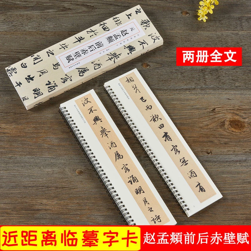 赵孟頫前后赤壁赋 经典碑帖近距离临摹卡2册赵体行书书法毛笔字帖