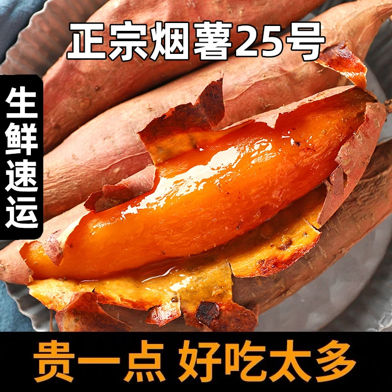正宗烟薯25号5斤糖心蜜薯番薯地瓜农家自种