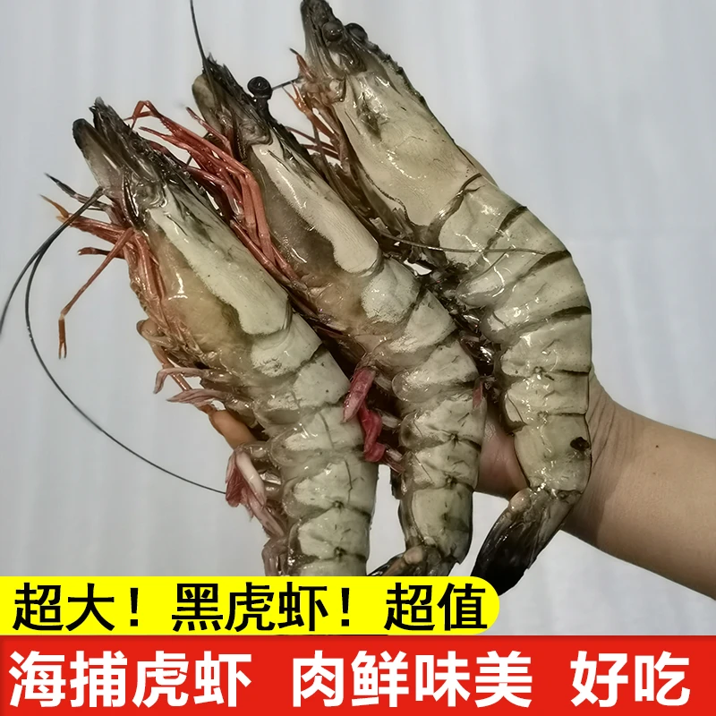 10头 特大黑虎虾  1盒600g  共12只 海虾大虾 虎虾过年过节送礼