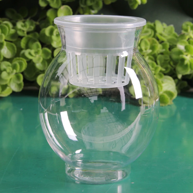 透明水培塑料花瓶绿萝水生植物植物容器适于室内桌面摆放花盆包邮