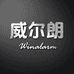 威尔朗Winalarm影音