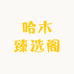 哈木臻选阁