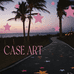 CASE ART 壳作室