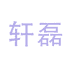 轩磊深圳市致远风科技有限公司数码专卖店