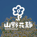 山野花静鲜花店